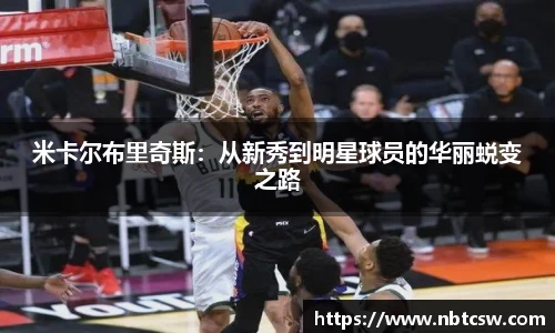 星空综合体育平台