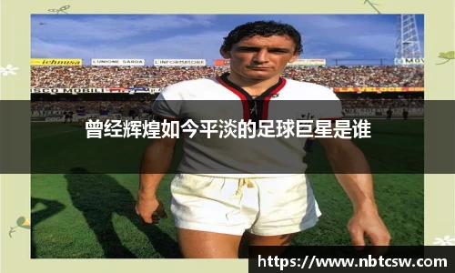 曾经辉煌如今平淡的足球巨星是谁